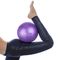 2mm Kalınlık 25cm Egzersiz Yoga Topu Eğitmen Dengesi İçin Fiziksel Uygunluk